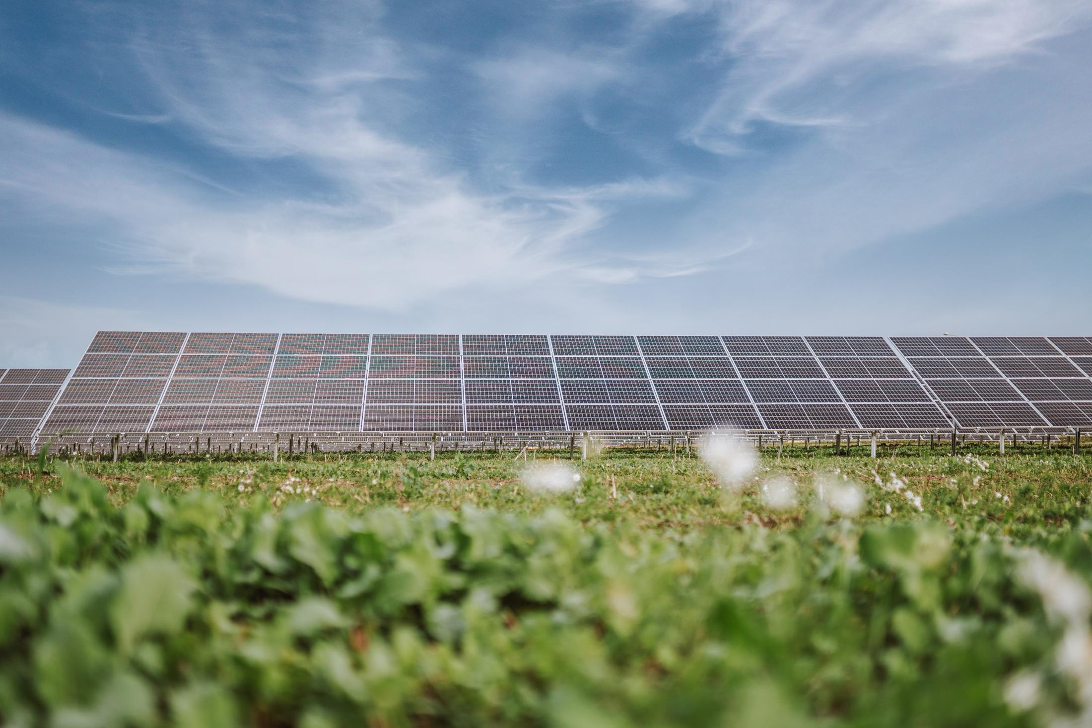 Sunly Raises 200 Million Euros With Mirova As A New Investor Sunly Raises 200 Million Euros With Mirova As A New Investor
